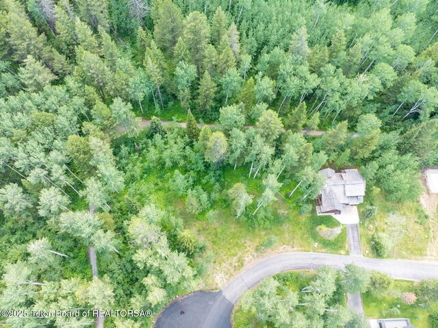 2 Blackfoot Trl, Victor, ID 83455 - photo 10