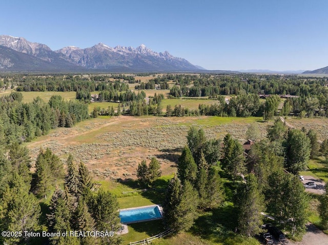 255/225 Huckleberry Dr, Jackson, WY 83001 - photo 35