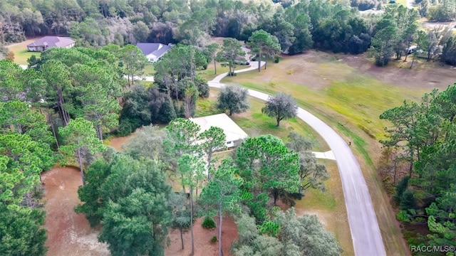 2195 W Huntington Dr, Beverly Hills, FL 34465 - aerial view of property's location with a forest