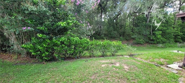 537 Crossleaf Ln, Inverness, FL 34453 - photo 17