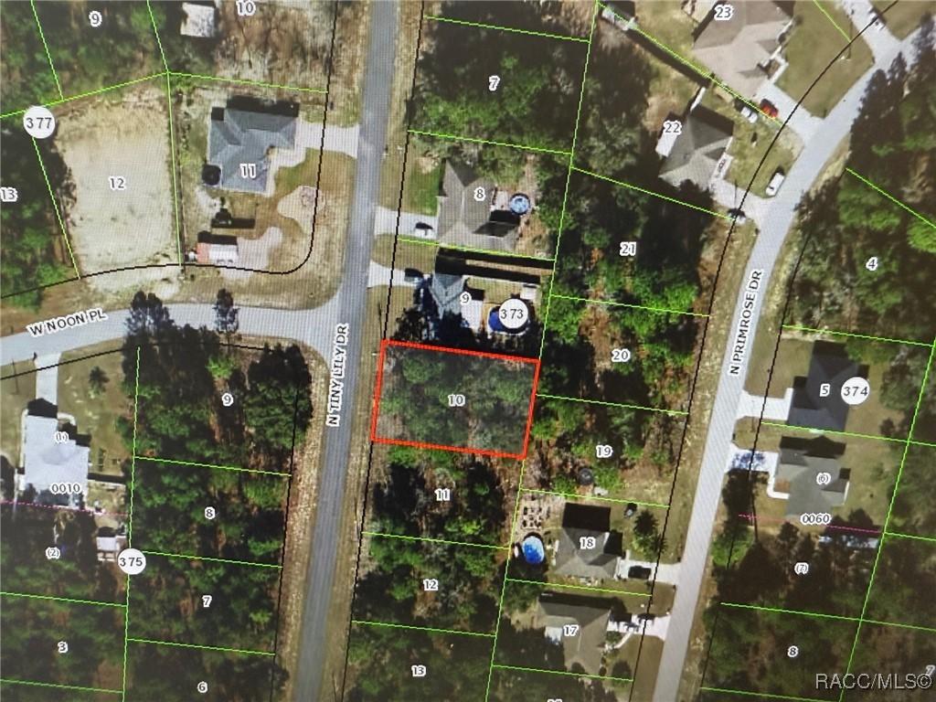 8271 N Tiny Lily Dr, Citrus Springs, FL 34434 - photo 1