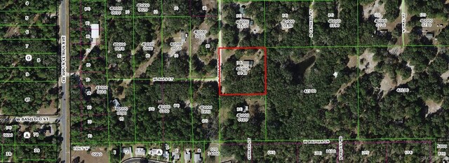 8583 N Tibet Ter, Dunnellon, FL 34433 - photo 64