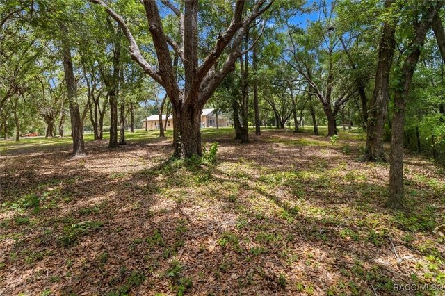 8583 N Tibet Ter, Dunnellon, FL 34433 - view of yard