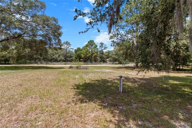 8583 N Tibet Ter, Dunnellon, FL 34433 - view of grassy yard