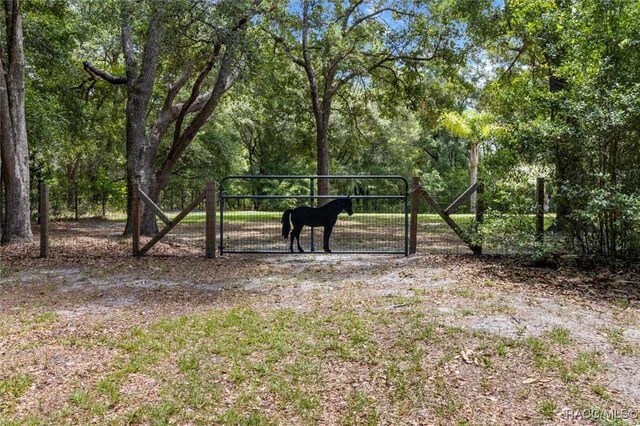 8583 N Tibet Ter, Dunnellon, FL 34433 - view of yard with a gate