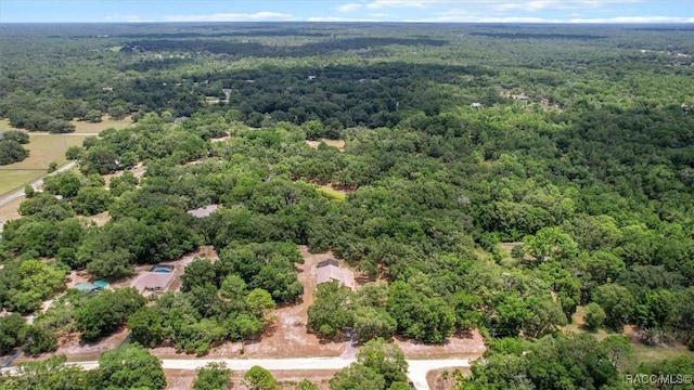 8583 N Tibet Ter, Dunnellon, FL 34433 - bird's eye view of a forest