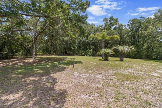 8583 N Tibet Ter, Dunnellon, FL 34433 - view of grassy yard