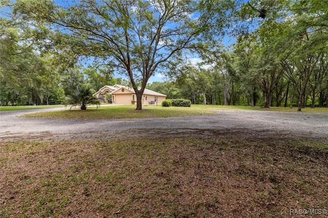 8583 N Tibet Ter, Dunnellon, FL 34433 - view of green lawn