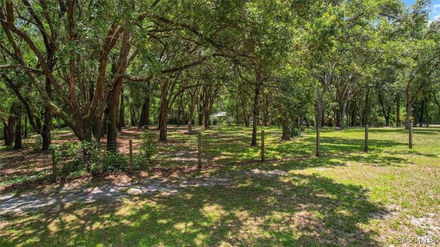 8583 N Tibet Ter, Dunnellon, FL 34433 - view of yard