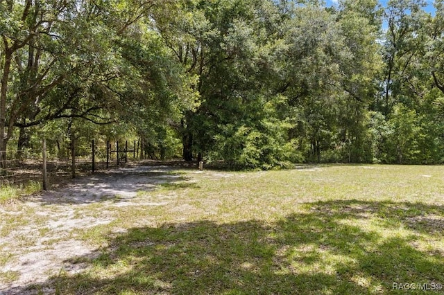 8583 N Tibet Ter, Dunnellon, FL 34433 - view of green lawn with a wooded view