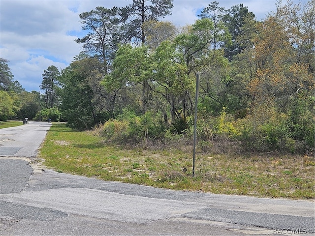 4208 W Vicksburg Dr, Citrus Springs FL, 34433 land for sale