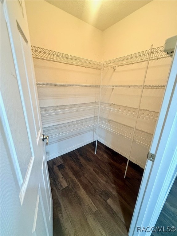 walk in closet featuring hardwood / wood-style flooring