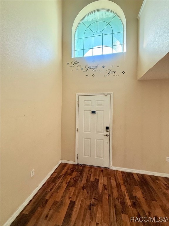 foyer with dark hardwood / wood-style floors and a towering ceiling