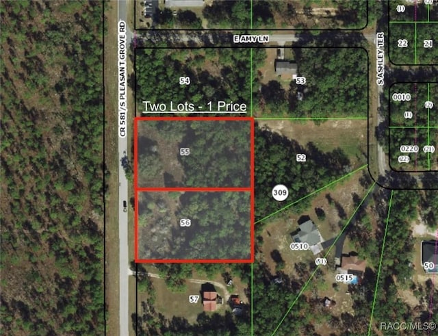 5841 S Pleasant Grove Rd, Inverness FL, 34452 land for sale