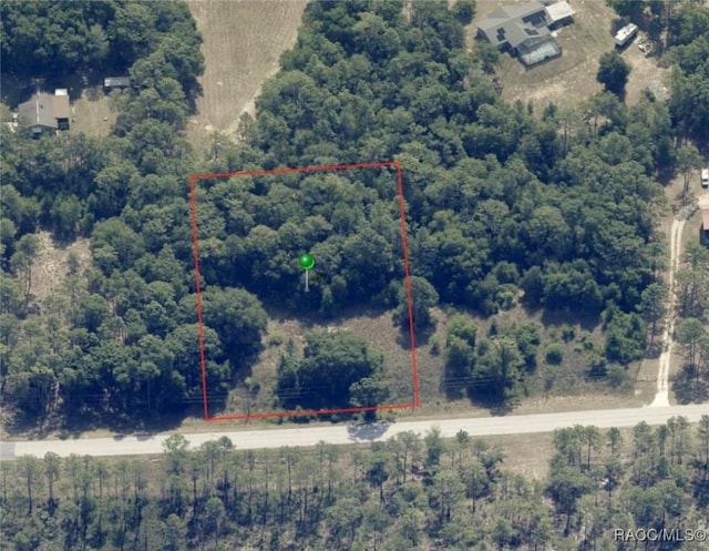 Listing photo 3 for 5841 S Pleasant Grove Rd, Inverness FL 34452