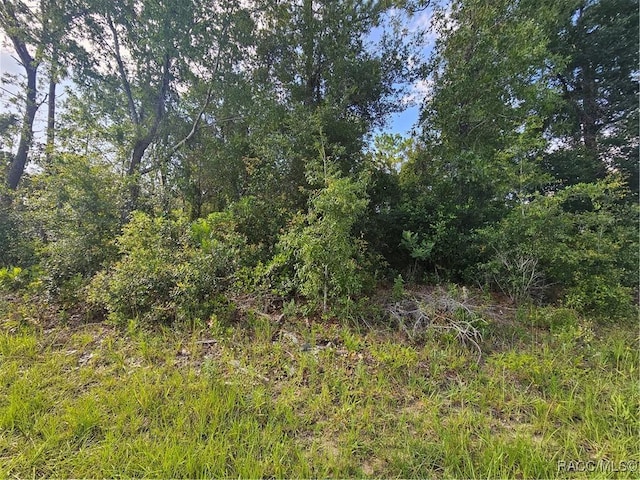 7909 N Sarazen Dr, Citrus Springs, FL 34434