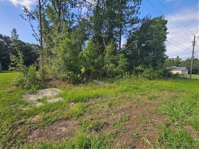 7909 N Sarazen Dr, Citrus Springs, FL 34434