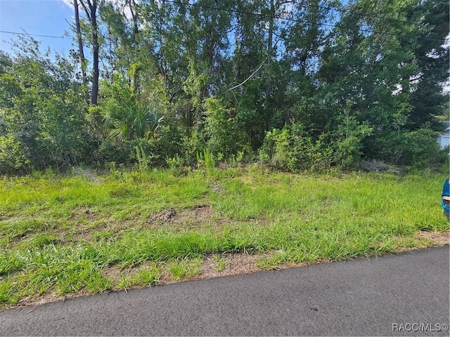 7909 N Sarazen Dr, Citrus Springs, FL 34434