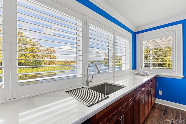 kitchen with crown molding, plenty of natural light, dark wood-type flooring, and sink