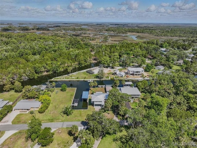 42 Magnolia Ave, Yankeetown, FL 34498 - view of property location with a nearby body of water and a forest