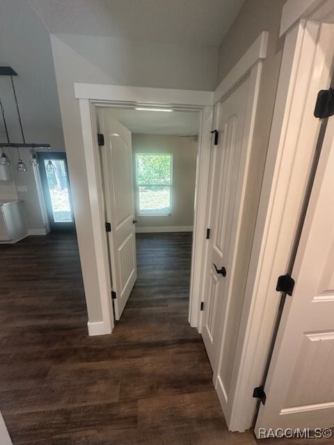 bathroom featuring wood-type flooring, vanity, a textured ceiling, and toilet