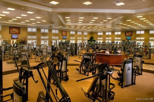 exercise room with crown molding and light carpet