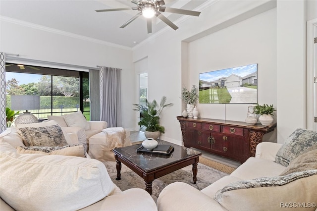 living room with ceiling fan and crown molding