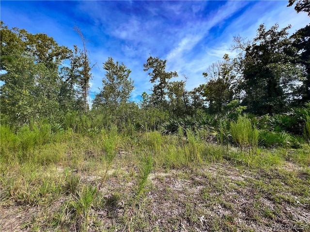 0 W Sandstone Ct, Homosassa, FL 34446 - photo 16