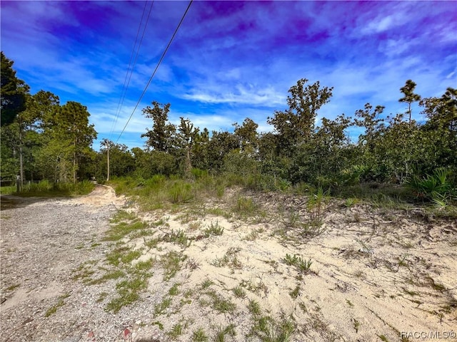 0 W Sandstone Ct, Homosassa, FL 34446 - photo 4