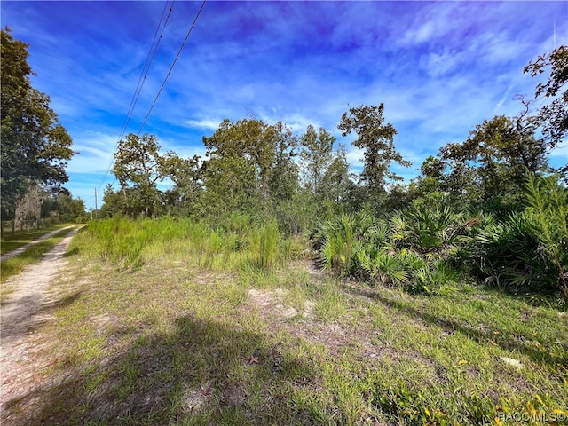 Listing photo 2 for 0 W Sandstone Ct, Homosassa FL 34446