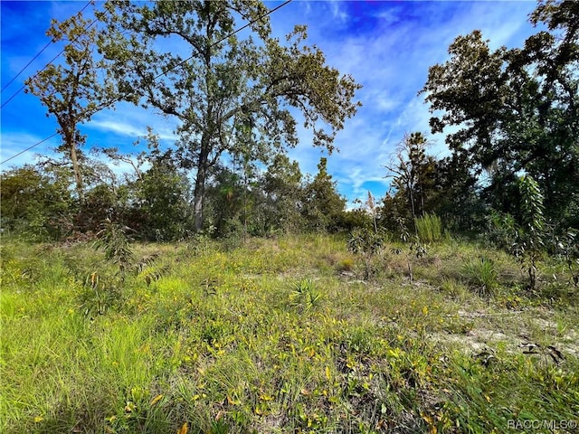 0 W Sandstone Ct, Homosassa, FL 34446 - photo 15