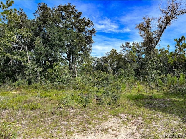 0 W Sandstone Ct, Homosassa, FL 34446 - photo 11