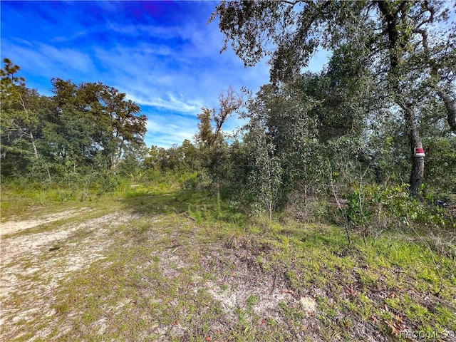 0 W Sandstone Ct, Homosassa, FL 34446 - photo 10