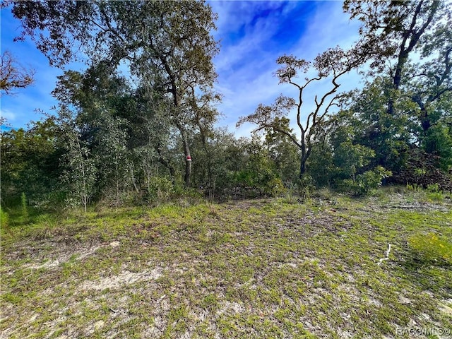 0 W Sandstone Ct, Homosassa, FL 34446 - photo 7