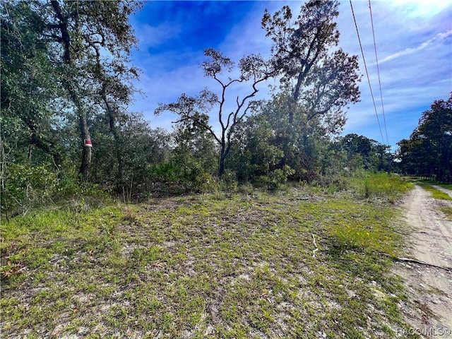 0 W Sandstone Ct, Homosassa, FL 34446 - photo 8
