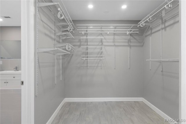 spacious closet with sink and wood-type flooring