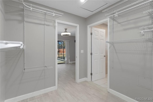 spacious closet with light hardwood / wood-style floors