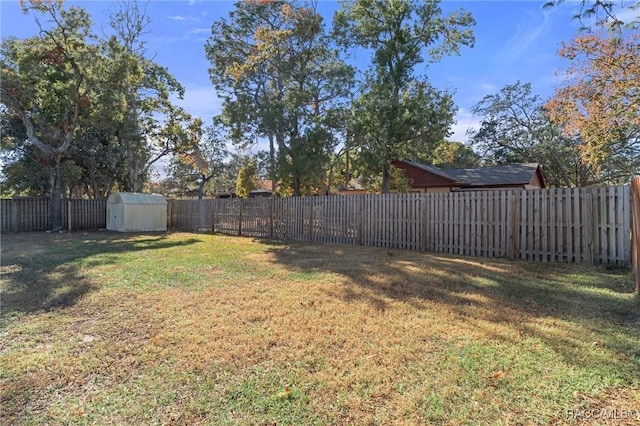 view of yard featuring a storage shed