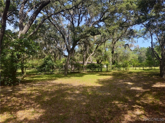7781 N Lazy Trl, Crystal River, FL 34428 - view of green lawn