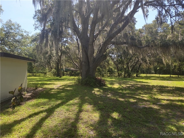 7781 N Lazy Trl, Crystal River, FL 34428 - view of grassy yard