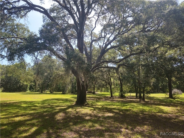 7781 N Lazy Trl, Crystal River, FL 34428 - view of grassy yard