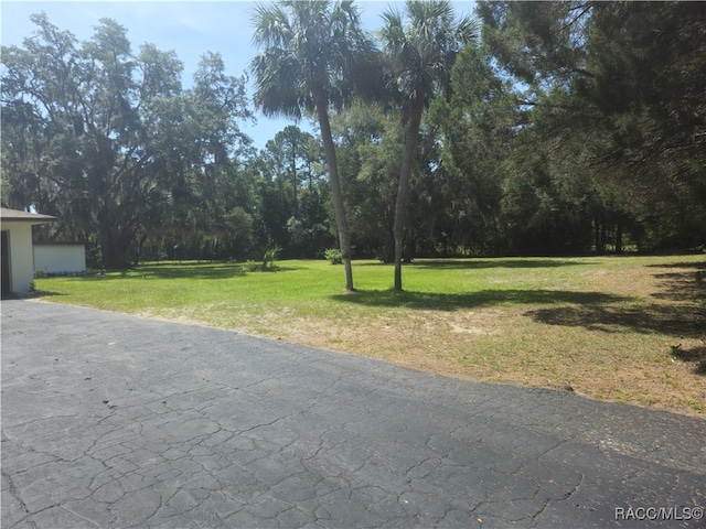 7781 N Lazy Trl, Crystal River, FL 34428 - view of road with a forest view