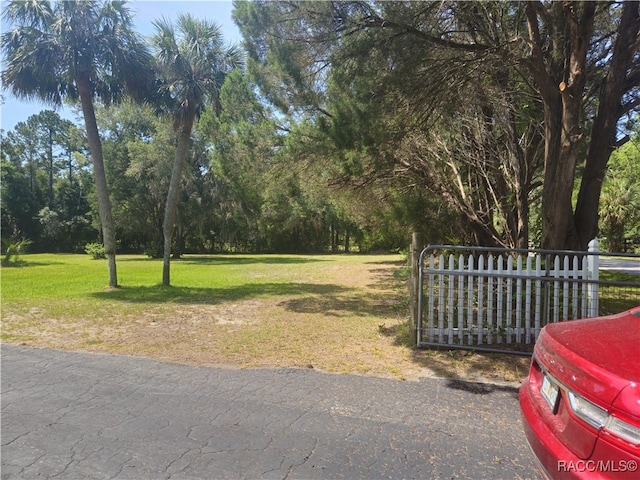 7781 N Lazy Trl, Crystal River, FL 34428 - view of grassy yard