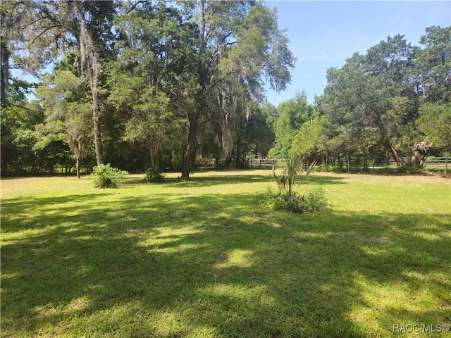 7781 N Lazy Trl, Crystal River, FL 34428 - view of yard
