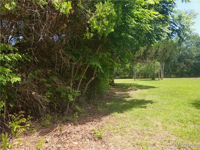 7781 N Lazy Trl, Crystal River, FL 34428 - view of grassy yard