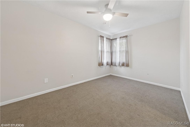 4907 Country Aire Ln, Tampa, FL 33624 - photo 12