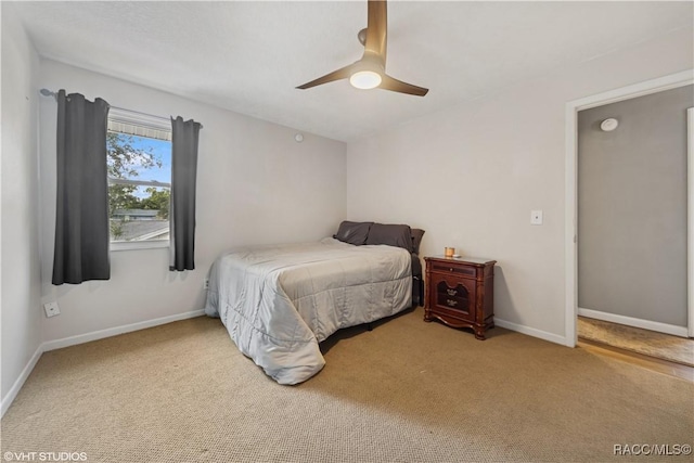 4907 Country Aire Ln, Tampa, FL 33624 - photo 9