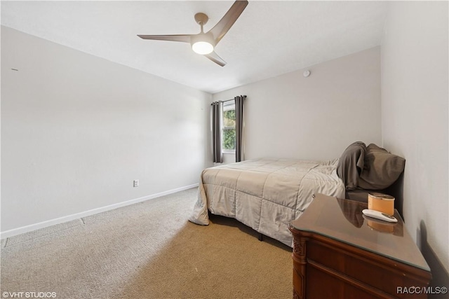 4907 Country Aire Ln, Tampa, FL 33624 - photo 10