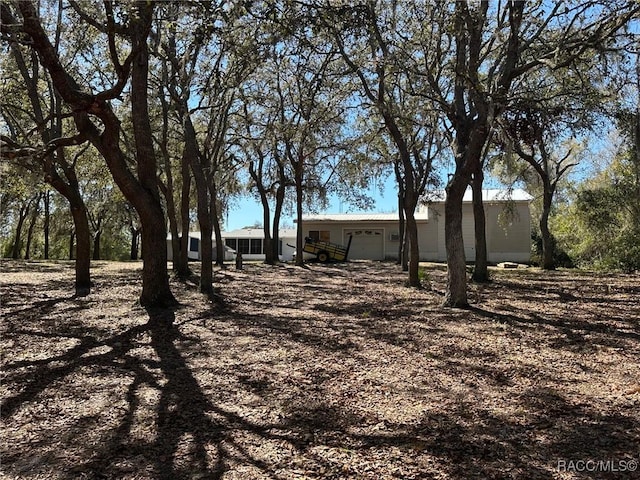 view of yard featuring a garage and dirt driveway