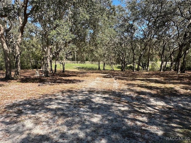 view of local wilderness